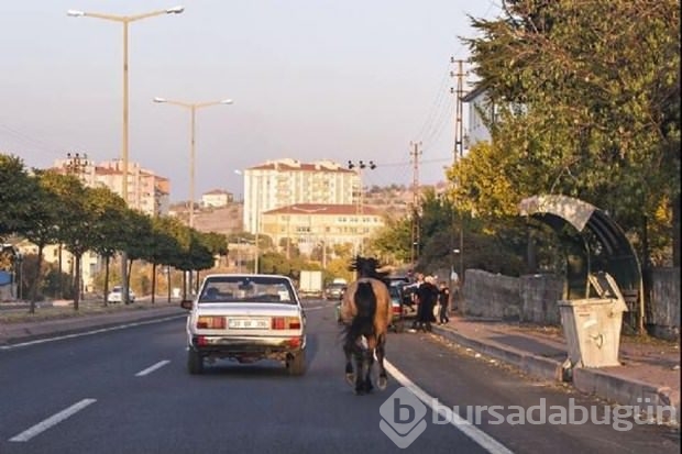 İşte 2015'in en iyi fotoğrafları	