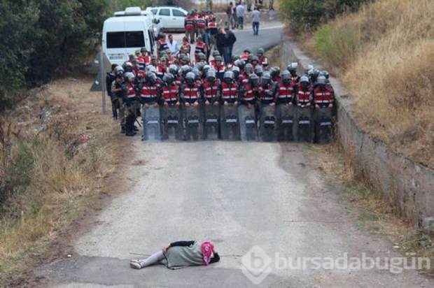 İşte 2015'in en iyi fotoğrafları	