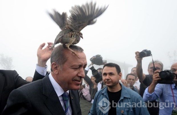 İşte 2015'in en iyi fotoğrafları	
