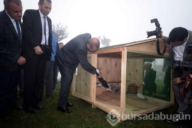 İşte 2015'in en iyi fotoğrafları	