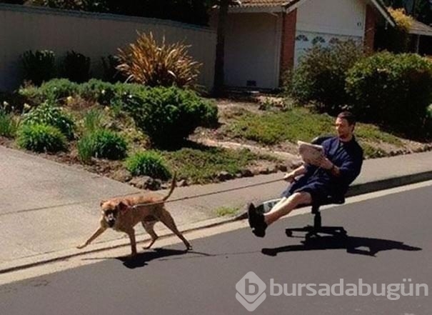 Tembelliği abartan insanlar	