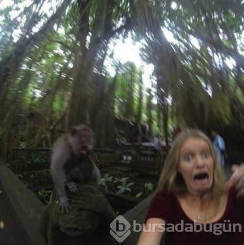 En çılgın 'Selfie'ler