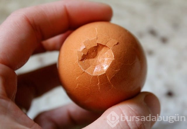 Patatesin yanına elma koyarsanız bakın ne oluyor?
