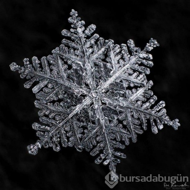 Kar tanelerinin içinizi ısıtacak fotoğrafları