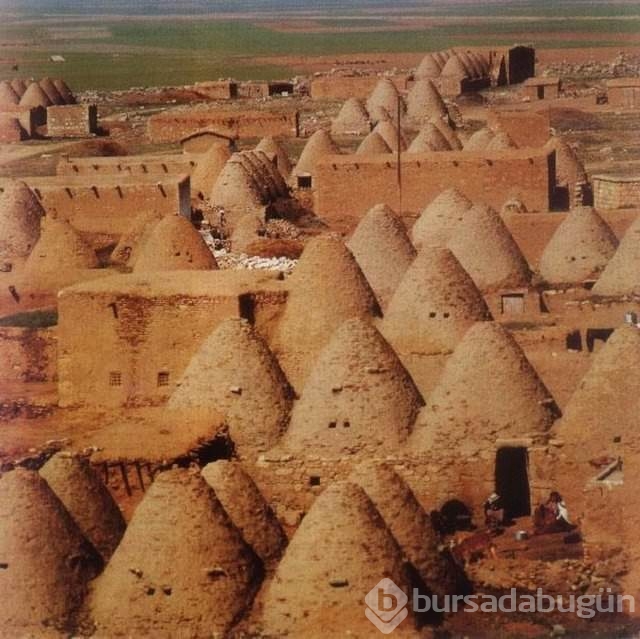En kalabalık ilçeler