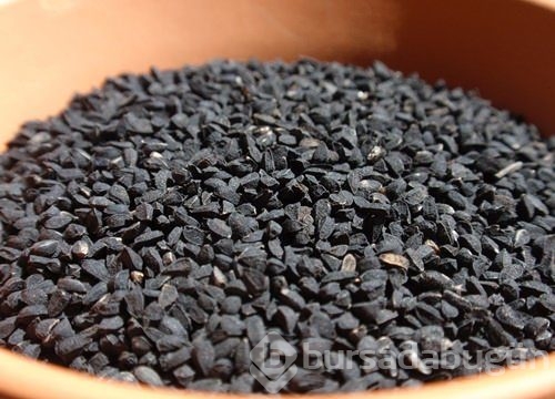 Çörekotu binbir derde deva oluyor