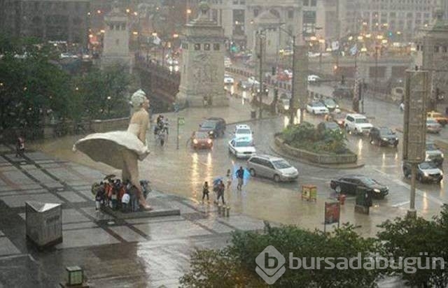 Pazartesi sendromuna 60 harika fotoğraf