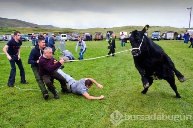 Pazartesi sendromuna 60 harika fotoğraf