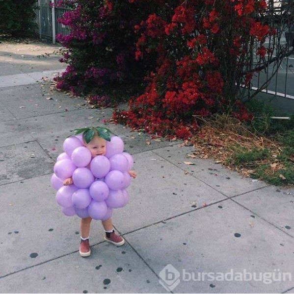 Pazartesi sendromuna 60 harika fotoğraf