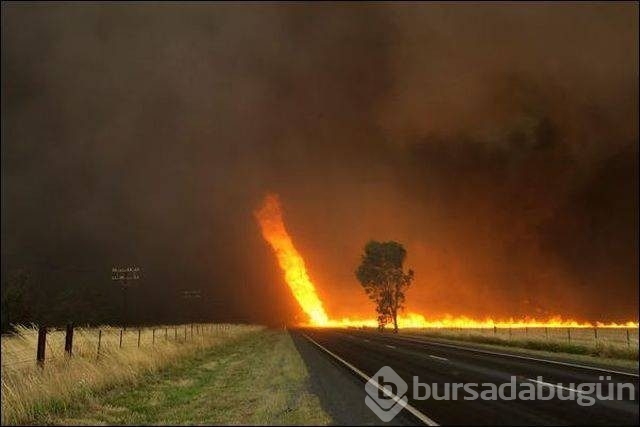 Pazartesi sendromuna 60 harika fotoğraf