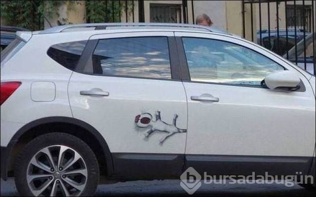 Pazartesi sendromuna 60 harika fotoğraf