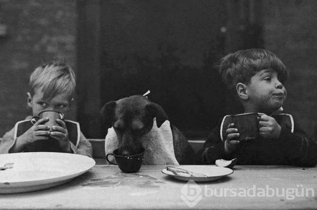 Günün en çılgın 55 fotoğrafı