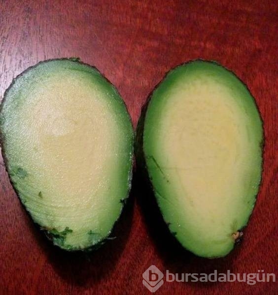 Günün en çılgın 55 fotoğrafı