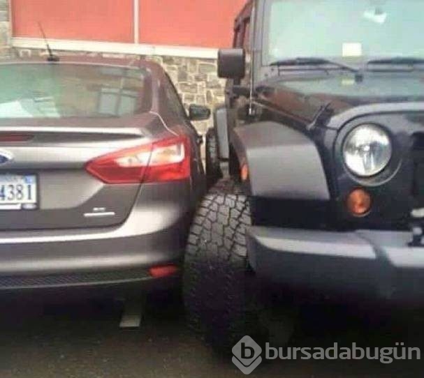 Günün en çılgın 55 fotoğrafı