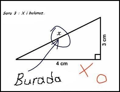 Sınav kağıdına yazılan en komik cevaplar