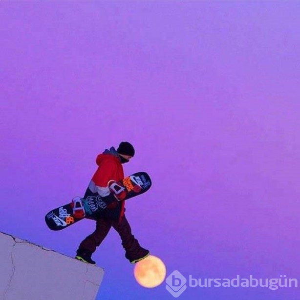 Ayı hiç böyle görmediniz