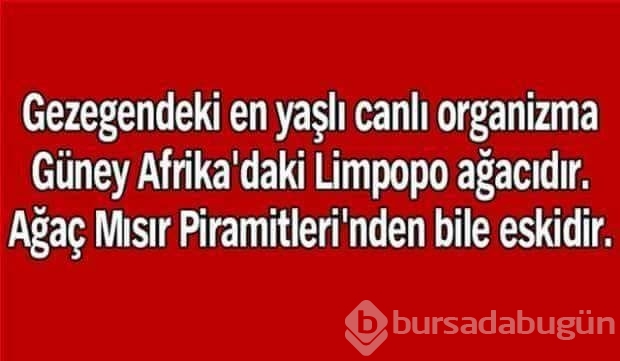 Bunları biliyor muydunuz?
