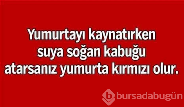 Bunları biliyor muydunuz?
