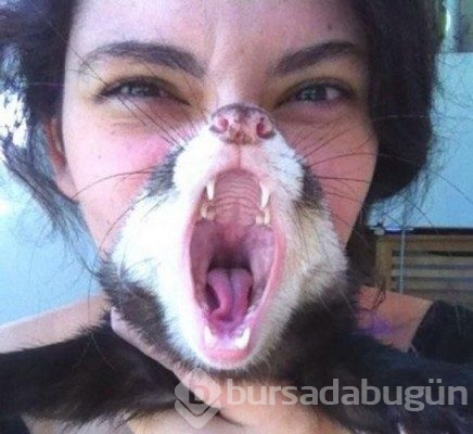 Göründüğü gibi olmayan fotoğraflar