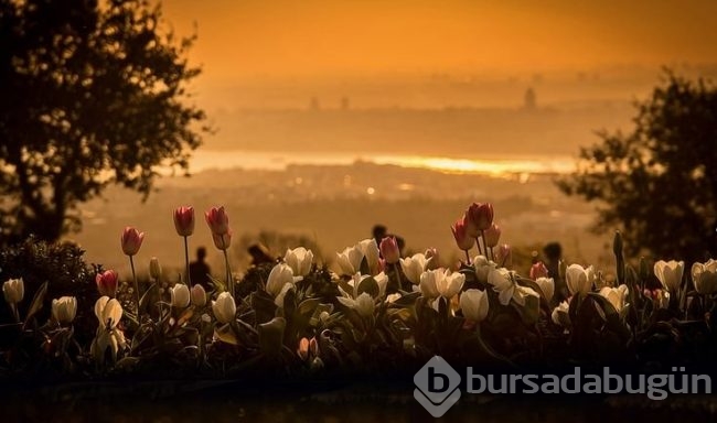 İstanbul'un Simgeleri adlı fotoğraf yarışması sonuçlandı