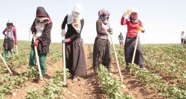 Gençlerin en popüler 10 gelecek planı