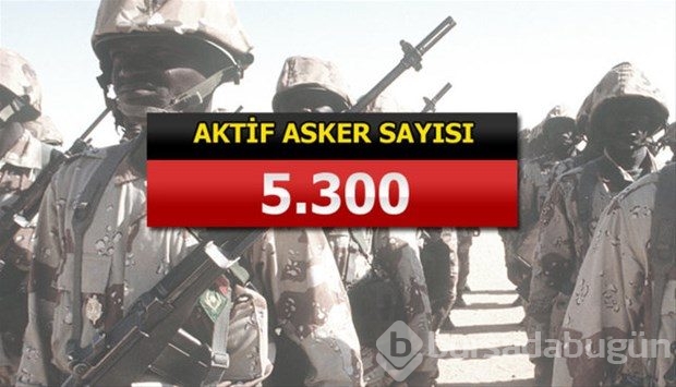 İslam Ordusu Koalisyonuna katılan ülkeler