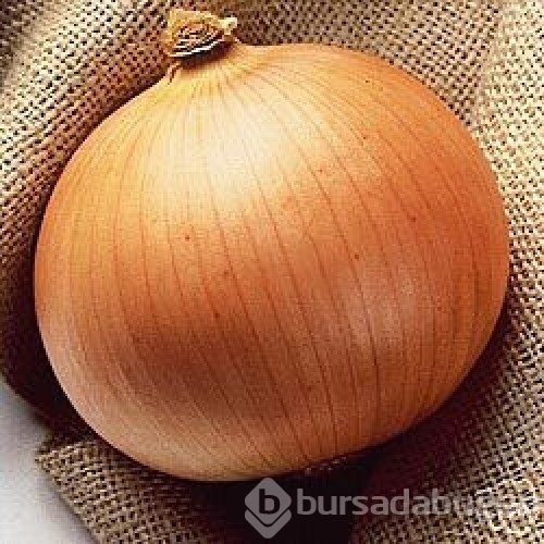 Bu karışımlar öksürüğü söküp atıyor!