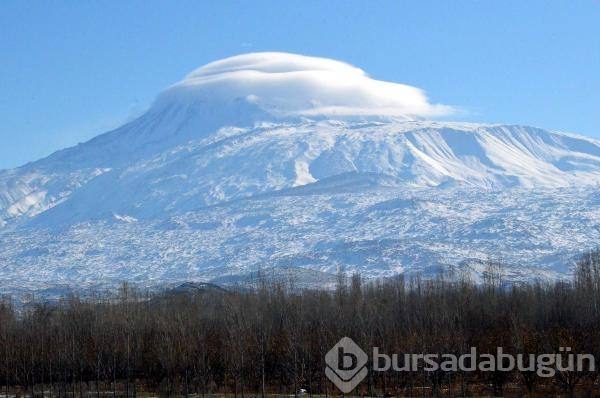 PKK'nin erzak deposu bulundu