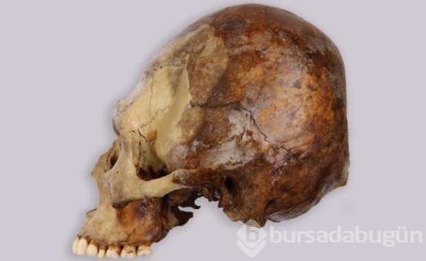 Bebeklikten itibaren başlıyorlar, Öyle bir nedeni var ki..