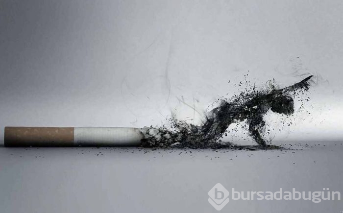 Zatürreye karşı doğal koruma