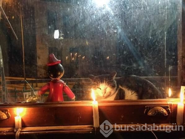 İnstagram'da ünlüler 18 Aralık 2015	