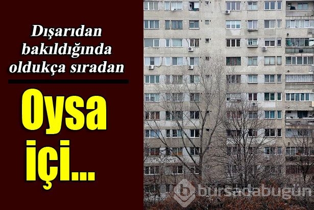 Oysa içi...