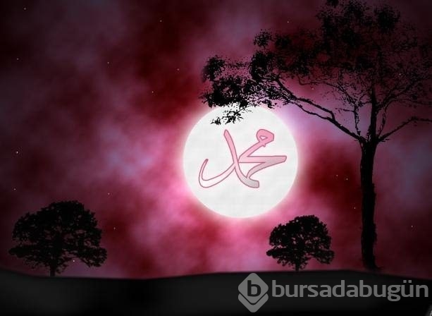 Peygamber Efendimizin bir günü nasıl geçerdi