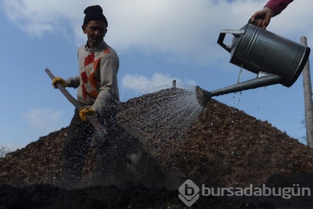 Toz duman arasında "torak nöbeti"