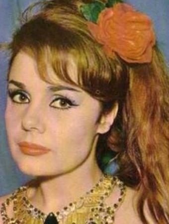 Zirveden dibe vurmuş hayatlar