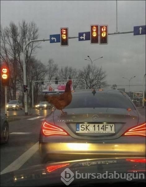 Günün en ilginç fotoğrafları