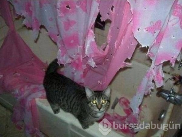 Günün en ilginç fotoğrafları