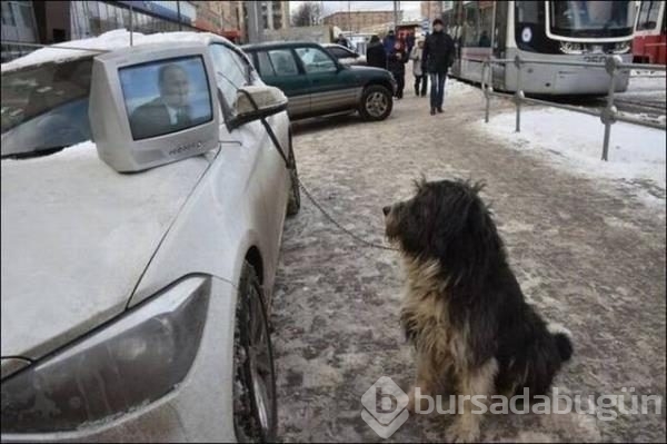Günün en ilginç fotoğrafları
