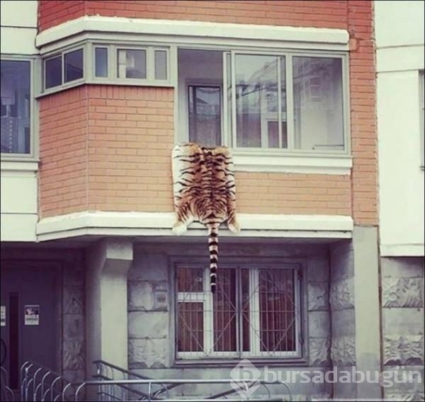 Günün en ilginç fotoğrafları