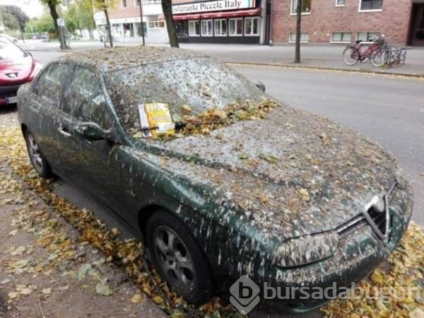 Günün en ilginç fotoğrafları