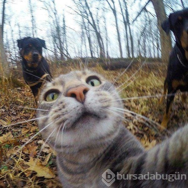 Günün en ilginç fotoğrafları