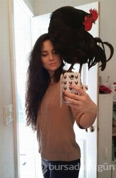 Günün en ilginç fotoğrafları