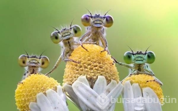 Günün en ilginç fotoğrafları