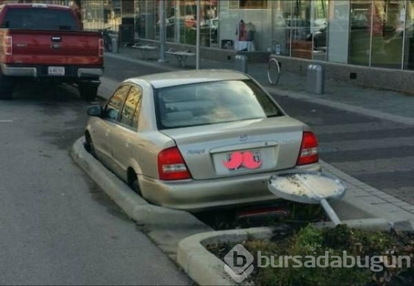 Günün en ilginç fotoğrafları