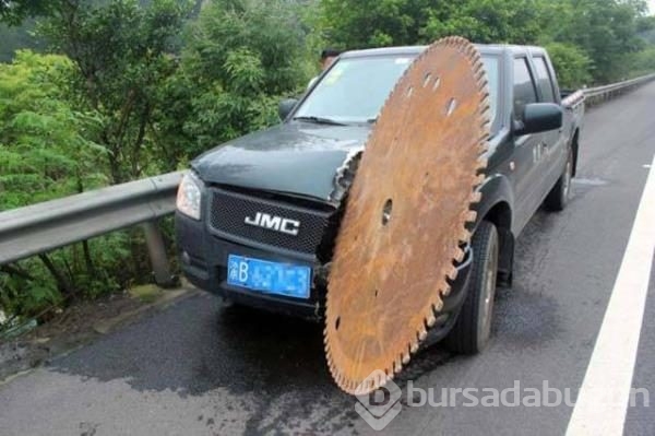 Günün en ilginç fotoğrafları