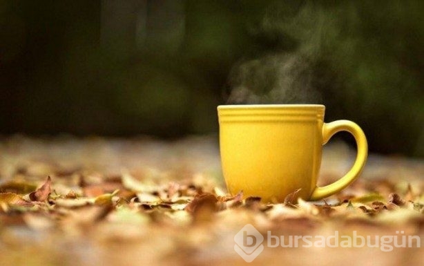 Ihlamur kaynattığınız suyu sakın dökmeyin!