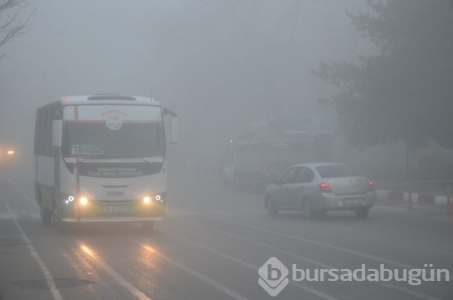 Birçok ilde yoğun sis