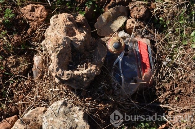 Petrol Boru Hattına terör saldırısı önlendi