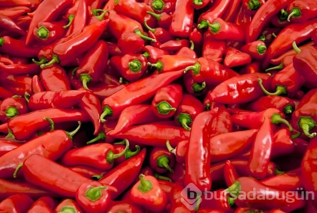 Doğal antibiyotik özelliği olan 8 besin