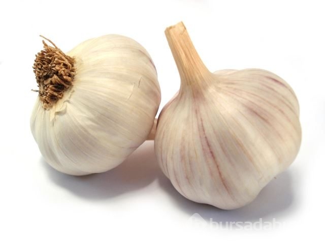 Doğal antibiyotik özelliği olan 8 besin